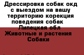 Дрессировка собак(окд)с выездом на вашу территорию,корекция поведения собак. - Липецкая обл. Животные и растения » Собаки   